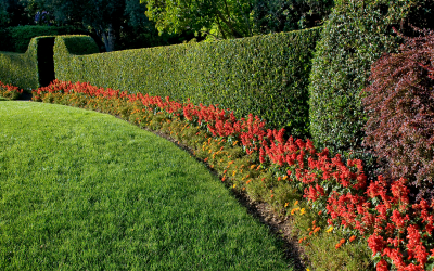 A Helpful Guide On How To Create Landscaping Borders Around Your Flower Beds