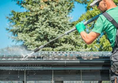 Gutter Cleaning
