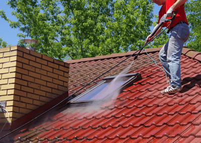 Roof Cleaning