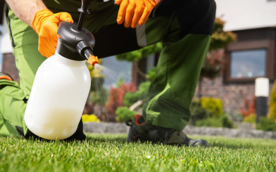 How To Get Rid of Weeds