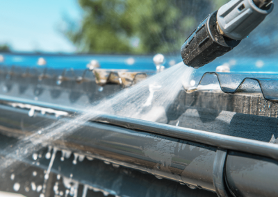gutter cleaning