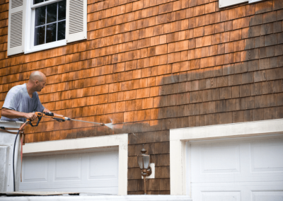 house washing professional