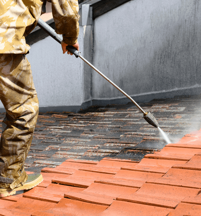 roof cleaning