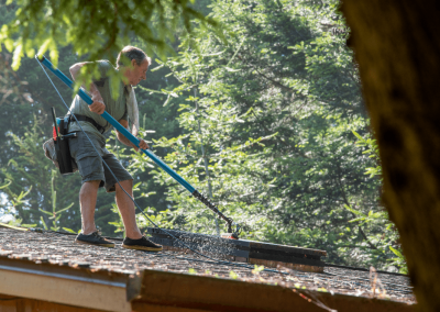 skylight cleaning professionals