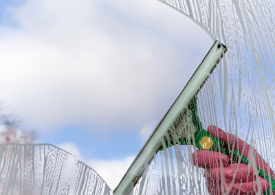 window cleaning pros